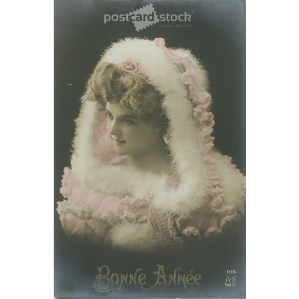 New Year’s greetings. French greeting card. Original paper image. Colored photo card, old postcard. (2792828)