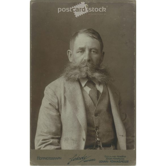 cca 1900. Studio portrait photo of an elegant, bearded, older gentleman. The photo was taken in the Fekete photo studio, Oradea. Old photo. Original cabinet photo / hardback photo / business card, CDV photo. (2792850)