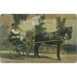 1908 - Horse drawn carriage from Nyíregyháza. Coloured photographic sheet, postcard. Original paper photo. (2792887)