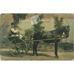   1908 - Horse drawn carriage from Nyíregyháza. Coloured photographic sheet, postcard. Original paper photo. (2792887)