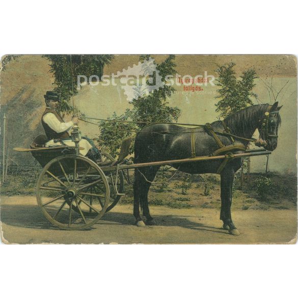 1908 – Horse drawn carriage from Nyíregyháza. Coloured photographic sheet, postcard. Original paper photo. (2792887)