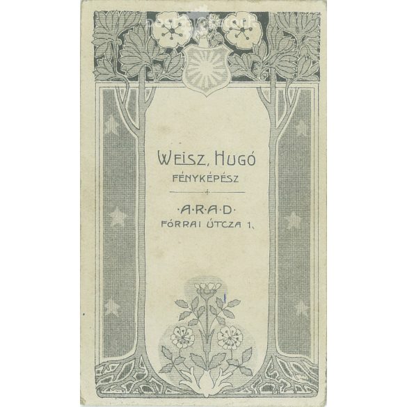 Studio portrait of an elegant lady. The identity of the subject is unknown. The photo was taken in Hugó Weisz’s studio in Arad. Old photo / Cabinet photo / Hardback photo (2792941)