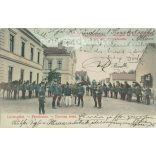 1903 - Greetings from Nagykikinda. Horse inspection. Coloured photographic sheet, postcard. (2792947)