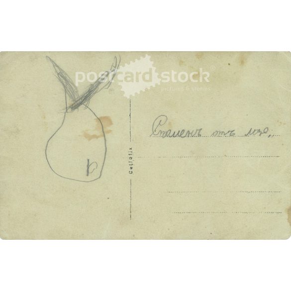 Family group photo outdoors. The people in the picture and the artist are unknown. Original on paper, black and white photographic paper, postcard. (2792966)