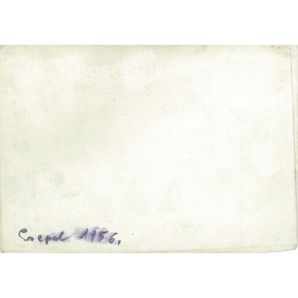 1956 - Group photo, Csepel. The people in the picture and the artist are unknown. Original photo on paper, black and white (2792975)