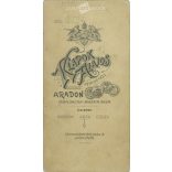 Studio full-length photo of an elegant young lady. The identity of the subject is unknown. The photo was taken in the studio of Alajos Klapok in Arad. Old photo / Cabinet photo / Hardback photo (2793012)