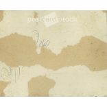 Family group photo, large photo from Transylvania. The people in the picture and the artist are unknown. Original black and white paper image on cardboard.. (2793013)