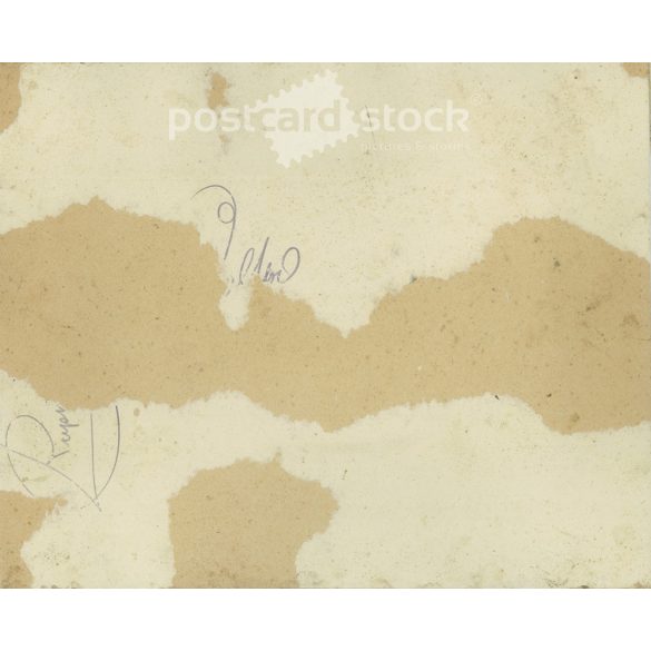 Family group photo, large photo from Transylvania. The people in the picture and the artist are unknown. Original black and white paper image on cardboard.. (2793013)