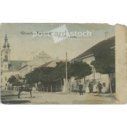 Greetings from Hódság. Coloured photo postcard. (2793091)