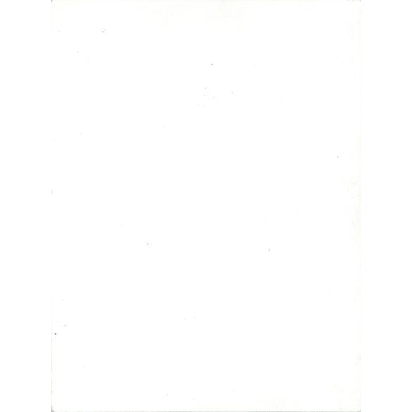 1960s, at a house party. Original on paper. Black and white photo, original paper (2793158)