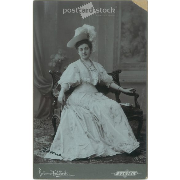 An attractive studio photo of Mistress Serena. The picture was taken in the Brenner brothers’ studio. Old photo / Cabinet photo / Hardback photo (2793181)