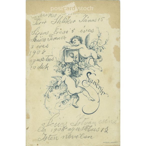 The photograph was taken in August 1908 by István Szűcs, in the name of God, presumably of his own family. Original cabinet photo / hard back photo / business card, CDV photo (2793217)