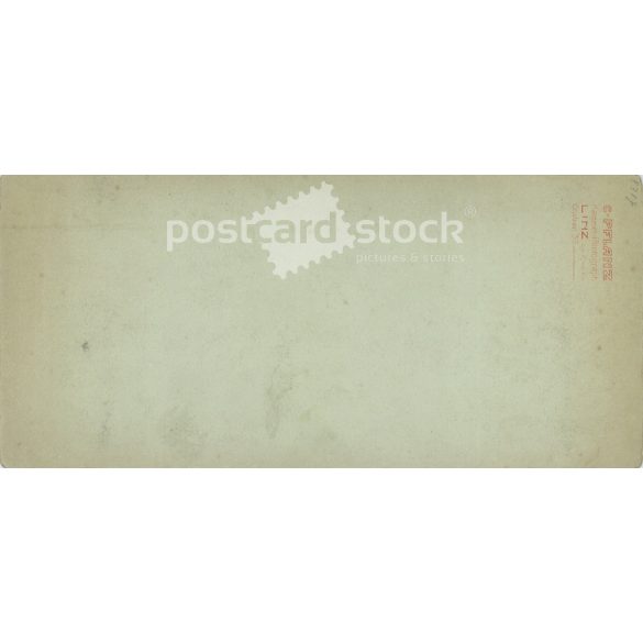 1903 - Work in the Pflanz photographic studio, Linz. Group photo of young officers, studio painting. Original cabinet photo / hard back photo / water card, CDV photo (2793220)