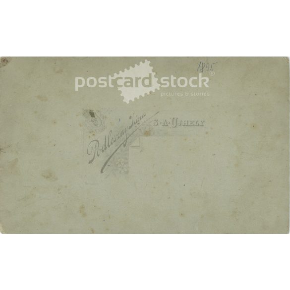 1895 - A photograph taken in the studio of János Podleszny, of the men of Sátoraljaújhely. Old photo / Cabinet photo / Hardback photo (2793269)