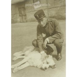 1917 - Young officer with his dog. (2793355)