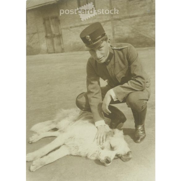 1917 – Young officer with his dog. (2793355)
