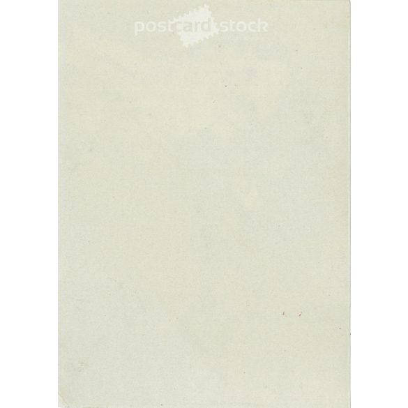 1917 - Young officer with his dog. (2793355)