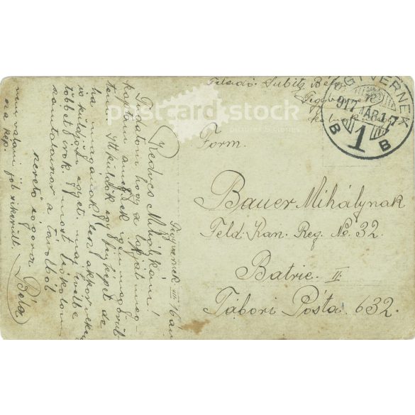 1917 - Photo of an unknown boy on the edge of a forest. Sent to general post from Fegyvernek. Original paper photo. Black and white photo postcard, postcard, with Schépia effect. (2793394)