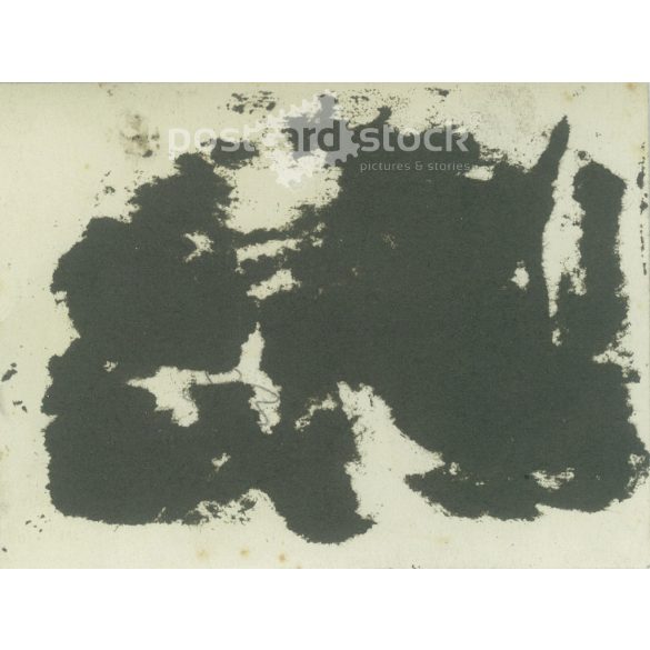 Early 1900s. A pub, a group of friends on a garden terrace. The photo is presumably taken in Hungary, the maker is unknown. Original black and white on paper (2793397)