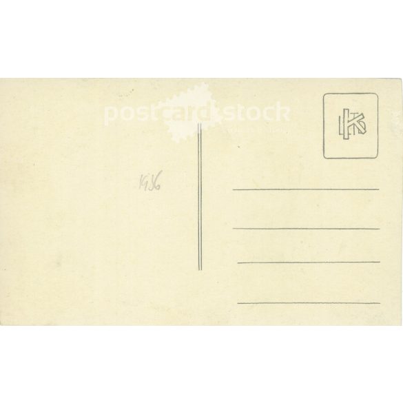 Early 1910s. Family group photo in the open air. The subjects and the artist are unknown. Original photograph. Black and white photographic sheet, postcard. (2793408)