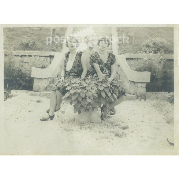 1920s. Family group photo in the park. Mother with her daughters. The people in the photo and the photographer are unknown. Black and white photo, original paper print. (2793409)