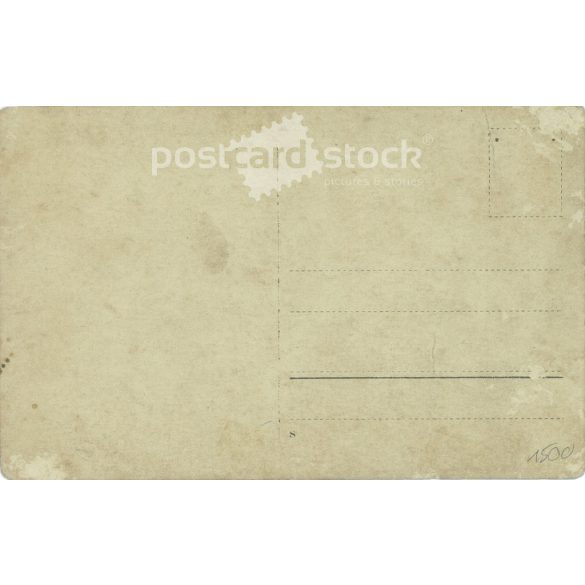 1920s. Young officers with a puppy. The people in the picture and the photographer are unknown. Original photo. Black and white photo sheet, postcard. (2793412)