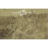 1886 - Hangács, vineyard. Hunting in the Bodrogkeresztúr border during the harvest. The people in the picture and the photographer are unknown. Black and white, large, laminated photo, original paper image. (2793422)