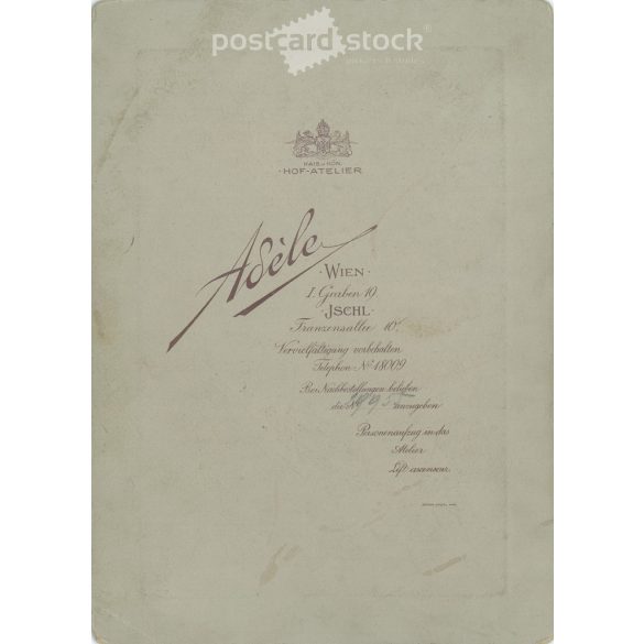 Adéle photo studio photo, Vienna. Studio, full-length photo of a distinguished couple. The identity of the people in the photo is unknown. Original  Cabinet card / CDV photo / hardback photo. (2793424)