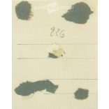 Group photo of young athletes. The person in the photo and the photographer are unknown. Original photo. Black and white photo card, postcard detail. (2793430)