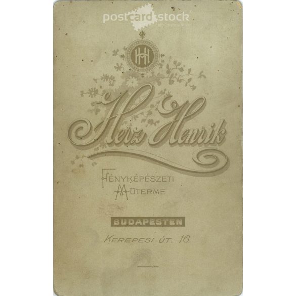 Photo taken at Henrik Herz’s photo studio, Budapest. Family group photo, studio photo. The identity of the people in the photo is unknown. Original  Cabinet card / CDV photo / hardback photo. (2793443)