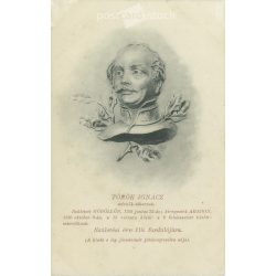   1905 - Lithographed postcard issued for the 110th anniversary of Ignácz Török's birth (2793462)