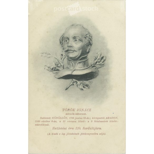 1905 - Lithographed postcard issued for the 110th anniversary of Ignácz Török's birth (2793462)
