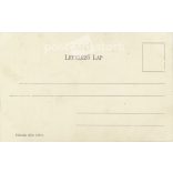 1905 - Lithographed postcard issued for the 110th anniversary of Ignácz Török's birth (2793462)