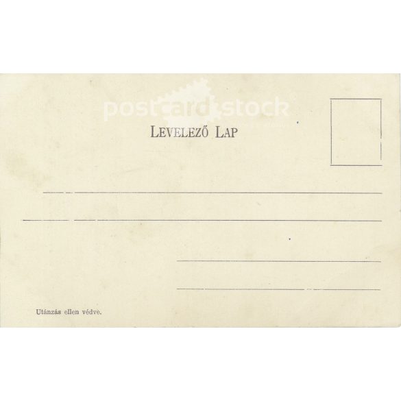 1905 - Lithographed postcard issued for the 110th anniversary of Ignácz Török's birth (2793462)