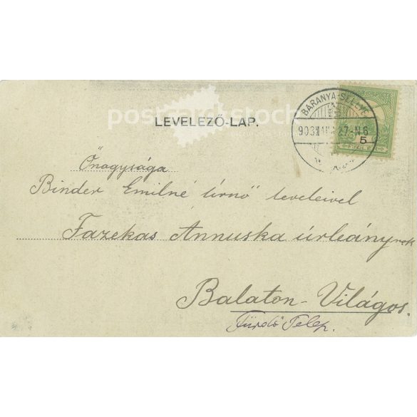 1903 - The urn containing the heart of Charles Leiningen-Westerburg and the crutch of János Damjanich. Black and white photographic sheet, old postcard. (2793465)