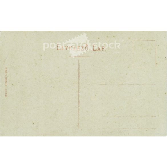 Early 1900s. Ceremony at the Battle of Chapel monument. Black and white photo sheet, old postcard (2793475)