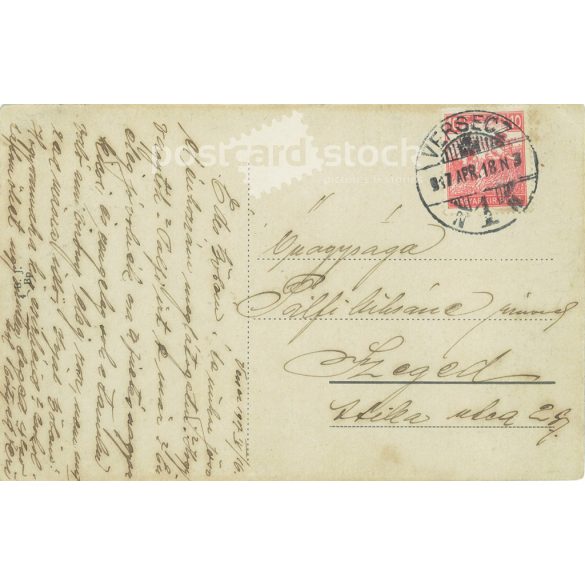 1917 - Versec. National Defence and National Guard Monument. The figure of Hungaria holding a laurel wreath is cast in iron. Black and white photo sheet, old postcard. (2793529)