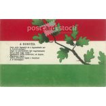 1915 - Petőfi's Songs series. The Honvéd (Pest, 1-10 June 1849). Coloured lithograph. Old postcard. (2793540)