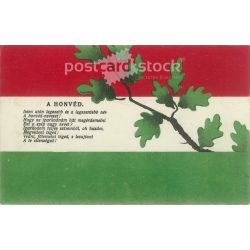   1915 - Petőfi's Songs series. The Honvéd (Pest, 1-10 June 1849). Coloured lithograph. Old postcard. (2793540)