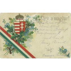   1905 - Long live the Hungarian! Coloured lithograph. Old postcard. (2793556)