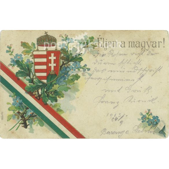 1905 - Long live the Hungarian! Coloured lithograph. Old postcard. (2793556)