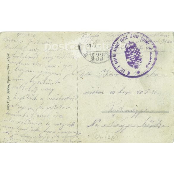 1917 - Invasion and expulsion of the Russians from Hungary. Old postcard (2793563)