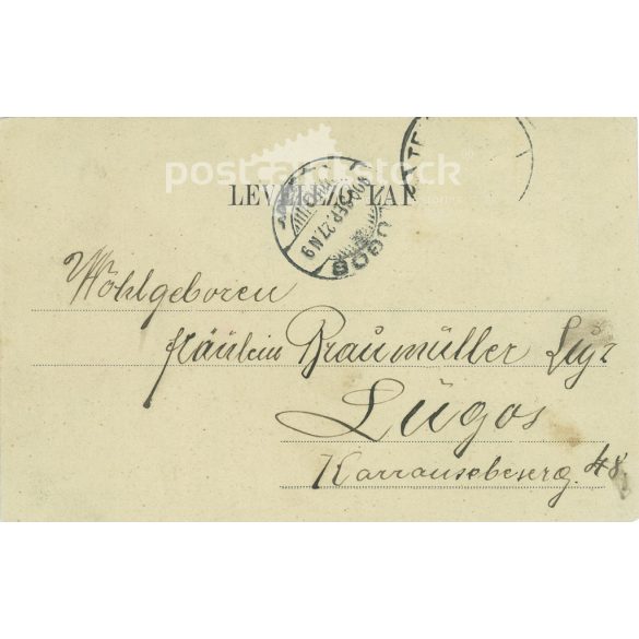 1900 - The walls of Timisoara Castle in the early 1900s. Black and white photo sheet, old postcard (2793580)