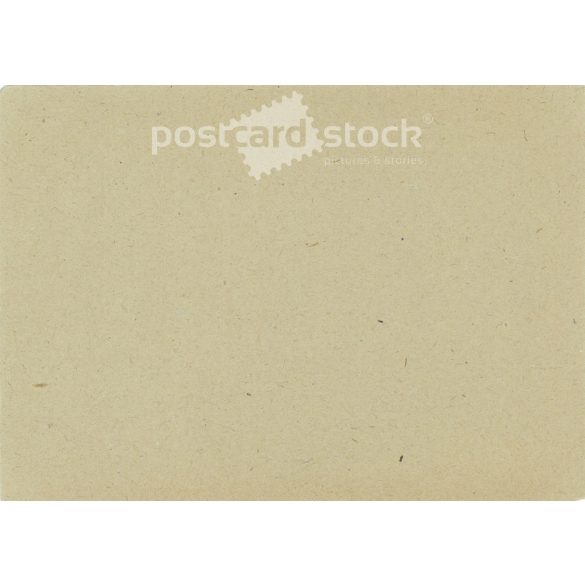 1950s. Postcard of the János Damjanich Museum in Szolnok. (2793588)