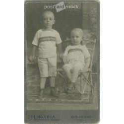   Early 1920s. Brothers. The identity of the people in the picture is unknown. The photo was taken by the Hungária Photographic Society. Old photo, original  Cabinet card / CDV photo / hardback photo. (2793605)