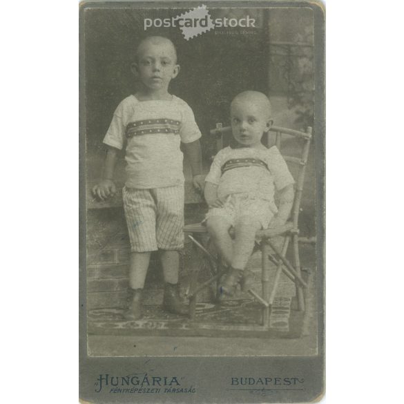 Early 1920s. Brothers. The identity of the people in the picture is unknown. The photo was taken by the Hungária Photographic Society. Old photo, original cabinet photo / hardback photo / business card, CDV photo. (2793605)