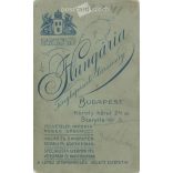 Early 1920s. Brothers. The identity of the people in the picture is unknown. The photo was taken by the Hungária Photographic Society. Old photo, original  Cabinet card / CDV photo / hardback photo. (2793605)