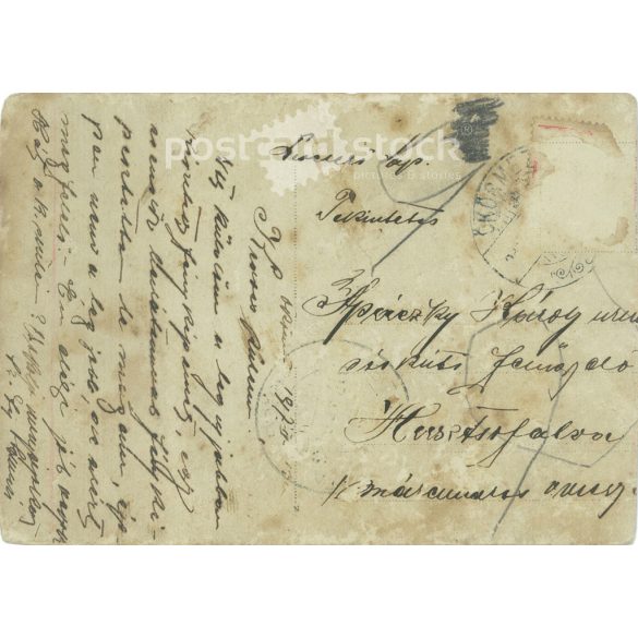 1917. Full-length photo of young officers. The person in the photo and the photographer are unknown. Original old photo. Black and white photo sheet, old postcard. (2793616)