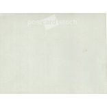 1910s. Officers in the snowy courtyard. The people in the picture and the photographer are unknown. Old photo. Black and white photo, original paper image. (2793618)