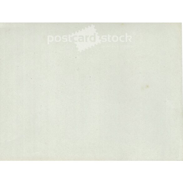 1910s. Officers in the snowy courtyard. The people in the picture and the photographer are unknown. Old photo. Black and white photo, original paper image. (2793618)